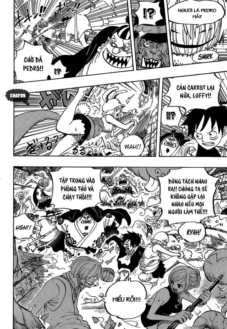 One Piece Tập 875 - Trang 10