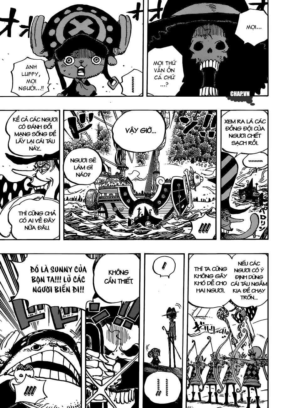 One Piece Tập 875 - Trang 14