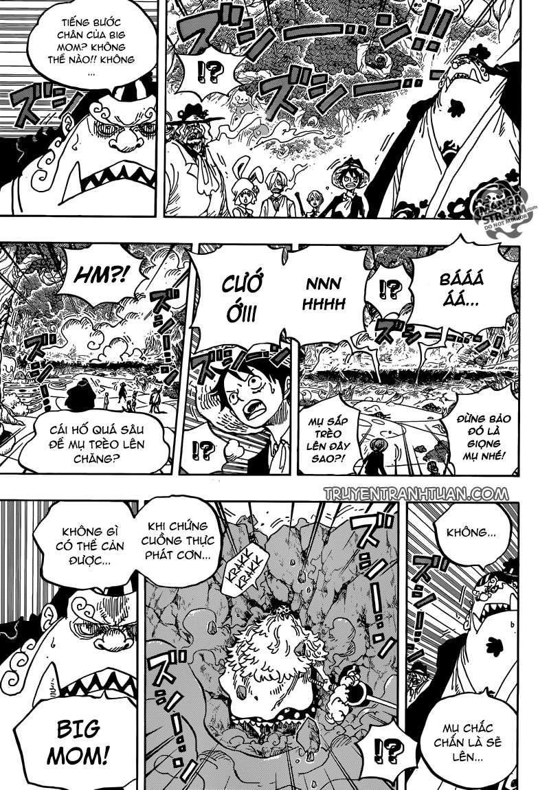 One Piece Tập 876 - Trang 5